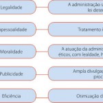 administracao-publica