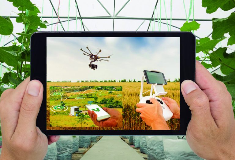 As STARTUPS do AGRONEGÓCIO trazem soluções EFICIENTES para o dia a dia do CAMPO