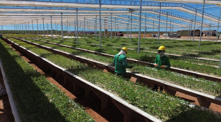 A descarbonização da siderurgia é uma realidade viável?