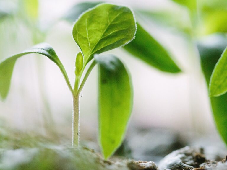 A descarbonização da indústria do aço é uma pauta urgente para o planeta